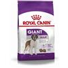 6057 Royal Canin Giant Adult Crocchette Per Cani Adulti 18mesi+ Taglia Gigante Sacco 15kg 6057 6057