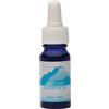 Green Remedies Arctic Essence Gocce 10ml