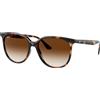 Ray-Ban RB4378 710/13