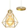 TOKIUS Lampadario a sospensione E27 Vintage Lampadario da soffitto Industriel Design Plafoniera Metallo Gabbia Ø160mm Oro Per Salotto Cucina Camera