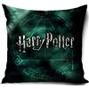 PawPatrol Nickelodoen Federa per cuscino per bambini, stampata su entrambi i lati, senza imbottitura, a scelta, 40 x 40 cm (Harry Potter)
