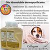 Olio idrosolubile dermopurificante OleaPet per toelettatura 2 taniche da 2 lt