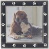 Lawrence Frames Cornice portafoto in metallo argentato e smalto nero, 4 x 4 x 4
