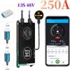 LiFePo4/Li-ion 4S/16S 12V-48V 250A/300A Smart BMS Common Port Balance+Bluetooth