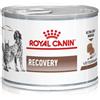 Royal Canin Veterinary Diet Dog e Cat Recovery 195 gr