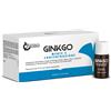 L.R.B. LAB.RICERC. BIOCHIMICHE FPR GINKGO 10 FLACONCINI