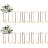 Nuptio 10 Pezzi Vaso D'oro Colonna In Metallo Supporto Strada Piombo Geometrico Centrotavola Vaso Tavoli, Vasi Terra 40cm Decorativo Portafiori Alto la Casa Evento Festa Decorazioni Nozze Ricevimento