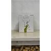 La Magnolia - WineSofia BAG IN BOX BIANCO 5 LITRI