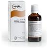NAMED SpA AMARA 50 ML GOCCE PASCOE