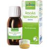 BOIRON Srl AESCULUS HIPP BOIRON MACERATO GLICERICO 60 ML