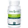 ERBA VITA GROUP SPA EQUISETO 125 TAVOLETTE