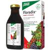 SALUS HAUS Gmbh & Co KG FLORADIX FERRO E VITAMINE 500 ML
