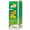 BOIRON Srl PROPOLIS SPRAY ADULTO 15 ML