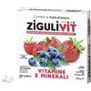 FALQUI PRODOTTI FARMAC. SpA ZIGULI VIT FRUTTIBOSCO 40 CONFETTI