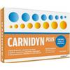 BIOFUTURA PHARMA SpA CARNIDYN PLUS 20 BUSTINE DA 5 G GUSTO ARANCIA