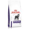 Royal Canin Expert Neutered Adult Large Dogs per cane 2 x 12 kg