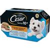 Cesar Delizie del Giorno Senior 10+ Multipack Selezione in Gelatina - Cesar - Delizie del Giorno Senior 10+ Multipack Selezione in Gelatina - 4X100GR