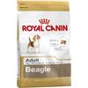Royal Canin Beagle Adult - Royal Canin - Beagle Adult - 3KG