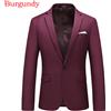Elegante Formale da Uomo Abito Suit Giacca Dentellato Bavero Cappotto 15 Colori