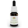 Green Remedies Australian Bush Flower Essences Dog Rose Of The Wild Forces Gocce 15 Ml