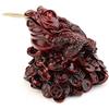 lachineuse Crapaud de Fortune - Feng Shui Tradizionale - Grande Dimensione 17 cm di Altezza