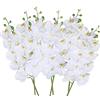 OUKEYI Fiori artificiali di orchidea Phalaenopsis da 68,6 cm, 6 pezzi, colore bianco, forse giallo tenue, piante a stelo per la decorazione della casa