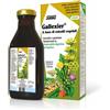 Salus Gallexier Funzione digestiva 250 ml