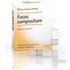 Guna Fucus Compositum 10 Fiale