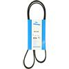 DAYCO 6PK1323S Cinghia Poly-V | Compatibile con: ALFA ROMEO MITO, FIAT 500L, 500X, FIORINO Kasten/Großraumlimousine, GRANDE PUNTO, GRANDE PUNTO Van, LINEA