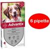 Elanco advantix spot-on per cani da 10 a 25 kg - 6 pipette