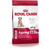 Royal canin medium ageing 10+ 15 kg