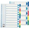 ESSELTE Separatore - 10 tasti colorati - PP - A4 maxi - 24,5x29,7 cm - multicolore - Esselte (unità vendita 1 pz.)