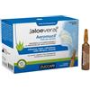 Zuccari Aloevera2 Aeromucil 10 fiale x 5ml - Dispositivo medico per aerosol con Aloe Vera, oli essenziali ed estratti vegetali, aiuta a fluidificare il muco e dona sollievo balsamico