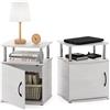 Furinno Jaya Tavolino dal Design Pratico, Legno ingegnerizzato, Rovere Bianco/Acciaio Inossidabile, Set di Due, 2 unità