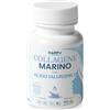 PERNOI Collagene Marino con Acido Ialuronico Integratore per Capelli e Viso - Compresse di Collagene e Acido Ialuronico Marino Idrolizzato Puro - Integratori Donna con Acido Ialuronico e Collagene