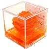 FOXCUP rosa vera arancione, regalo festa pensiero cerimonia, dura per sempre, stabilizzata profumata cubo 8x8x8 plexiglass