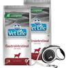FARMINA Vet Life Gastrointestinal Dog 12 kg + FLEXI New Comfort L Tape 8 m GRATIS