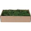 My Village Muschio Spagnolo Verde 500 gr