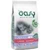 WONDERFOOD SpA Dry Adult Agnello - 300GR