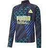 PUMA Fußball Park Top, Giacca da Ginnastica Uomo, Parigian Night-Blue Glimmer, L