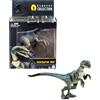 Mattel Jurassic World - Velociraptor Blue Hammond Collection, dinosauro lungo 21+ cm con design premium, occhi in vetro e tanti punti d'articolazione, giocattolo per bambini, 8+ anni, HTV62