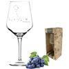 3forCologne Bicchiere da vino con segno zodiacale di pesce in elegante confezione regalo, costellazione in serigrafia, più dettagliata come incisione, utilizzabile come bicchiere da vino rosso o