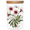 Portmeirion Botanic Garden-Barattolo, 17,78 cm, decorazione floreale