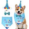 COACOM Set di 3 accessori per feste di compleanno per cani, decorazioni e abbigliamento per animali domestici, set alla moda