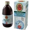 GIANLUCA MECH SpA Tisanoreica Depurativo Antartico Con Stevia 500ml