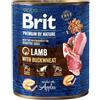 BRIT Premium by Nature 800g agnello e grano saraceno per cani