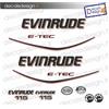 Adesivi motore marino fuoribordo Evinrude 115 cv e-tec gommone barca