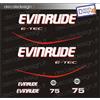 Adesivi motore marino fuoribordo Evinrude 75 cv e-tec gommone barca