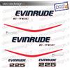 Adesivi motore marino fuoribordo Evinrude e-tec 225 cv gommone barca