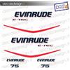 - Senza marca/Generico - Adesivi motore marino fuoribordo Evinrude 75 cv e-tec gommone barca